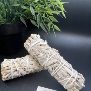 Sauge de Californie Etat-Unis