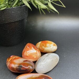 Pierre roulée Sardonyx AA