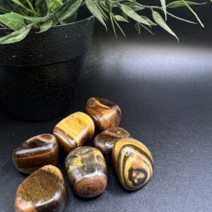 Pierre roulée oeil de tigre Afrique du sud A